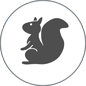 Unbugged pest control squirrel icon by Lancaster City Council